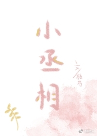 日常盯妻的小丞相