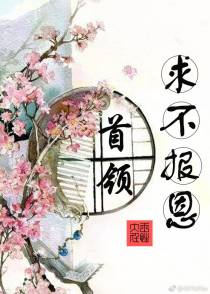 首领，求不报恩