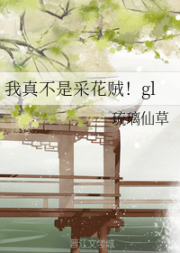 我真不是采花贼！gl