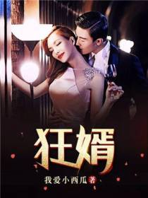 狂婿李浩