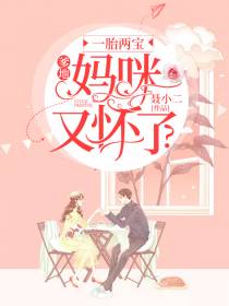 一胎两宝宋暖唐时言