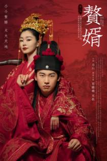 赘婿小说