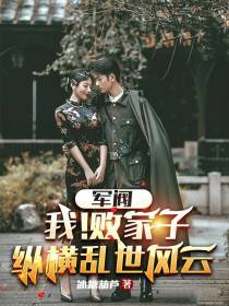 军阀：我！败家子,纵横乱世风云