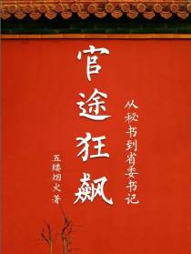 官途狂飙：从秘书到省委书记