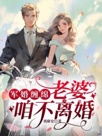 军婚缠绵,老婆咱不离婚