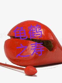 龟鹤之寿