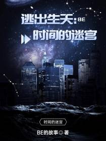 逃出生天：时间的迷宫