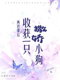 两巴掌后，收获一只撒娇小狗