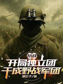 抗战：开局独立团，干成野战军团